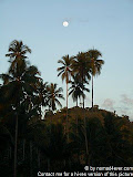 nomad4ever_indonesia_sulawesi_manado_bunaken_CIMG2466.jpg