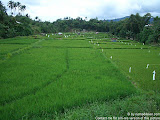 nomad4ever_indonesia_sulawesi_manado_bunaken_CIMG2474.jpg