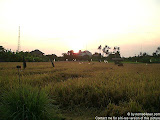 nomad4ever_indonesia_bali_landscape_CIMG1727.jpg