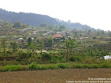 nomad4ever_indonesia_bali_landscape_CIMG1808.jpg