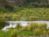 nomad4ever_indonesia_bali_landscape_CIMG1992.jpg