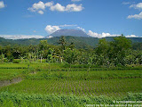 nomad4ever_indonesia_bali_landscape_CIMG2428.jpg