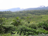 nomad4ever_indonesia_bali_landscape_IMG_2012.jpg