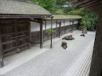 P1020176.JPG