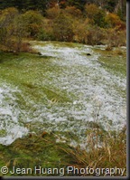 Pearl Shoal, Jiuzhaigou, Sichuan, China