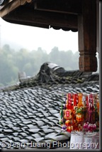 Roof of Ancient Structure