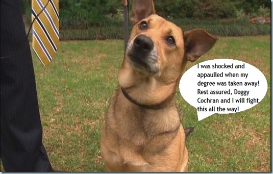 Dog gets diploma Dallas Chirico