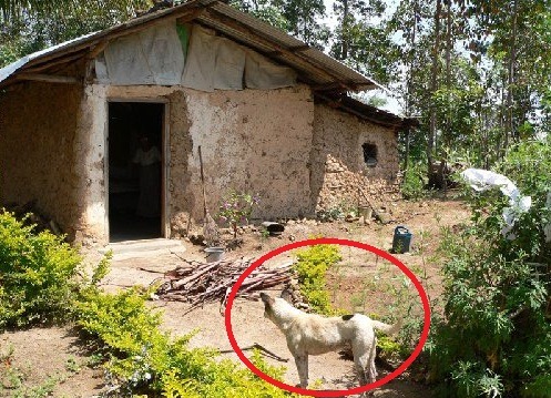 [Mud Huts Africa[10].jpg]
