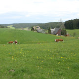  &ndash;  &ndash; 26-May-2010
