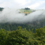 Sunrise in the Black Forest