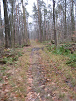 A cold and muddy morning (Cowles Settlement, New York, United States) Photo