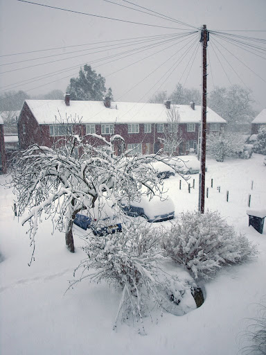 snow