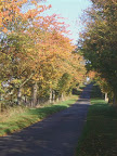 A beautiful drive