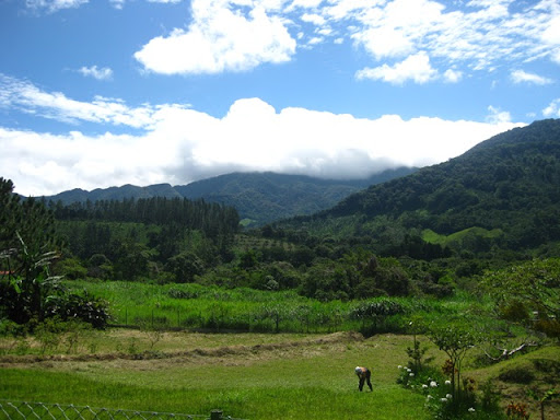 Beaches Without People