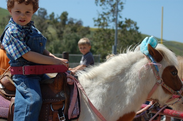 [poney rise small[3].jpg]