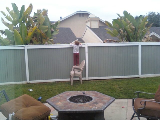 [0612091640[2].jpg]