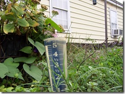 rain gauge 10.09.09 003