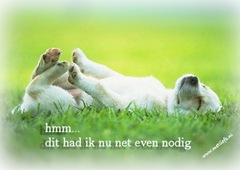 rust rust