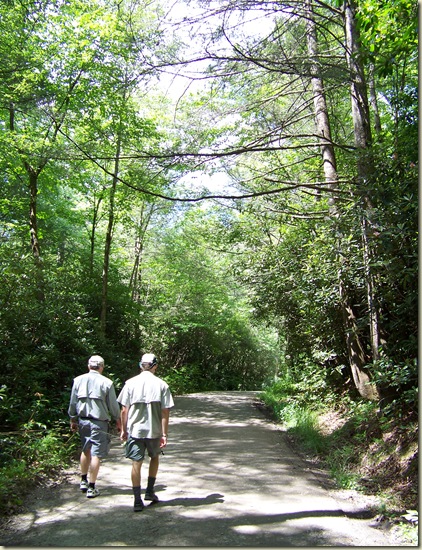 Cove Creek Group Upper Camp 