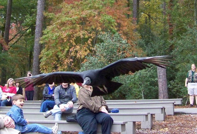 [100_92415.jpg]