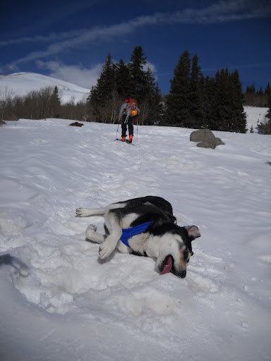 DSCN5530.JPG