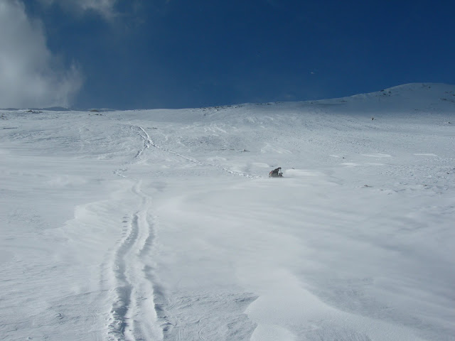 DSCN2986.JPG