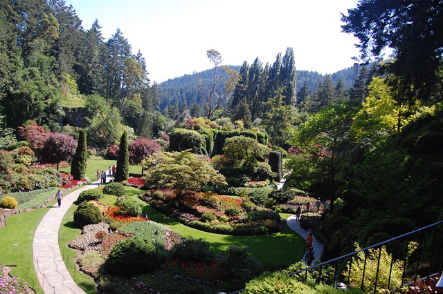 [DSC_1720[2].jpg]