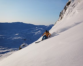 Stavsnuten