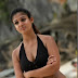Nayanthara Has Become Southern Box Queen