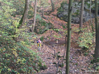 IMG00018-20091024-1107.jpg
