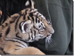 IMG_2286 IMG_2286