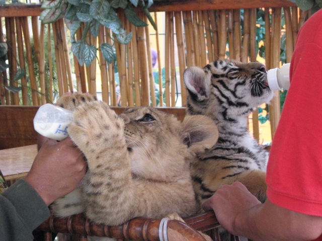 [IMG_22952.jpg]