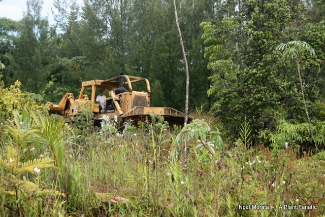[IMG_73503.jpg]
