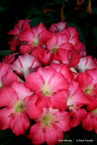 [IMG_14634.jpg]