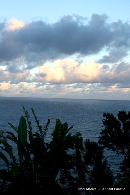 IMG_1447 IMG_1447