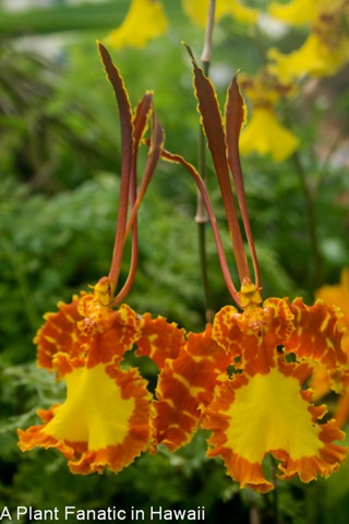 [IMG_32515.jpg]