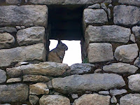 04262010236.jpg