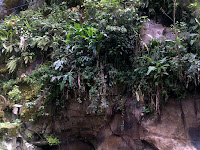 04272010316.jpg