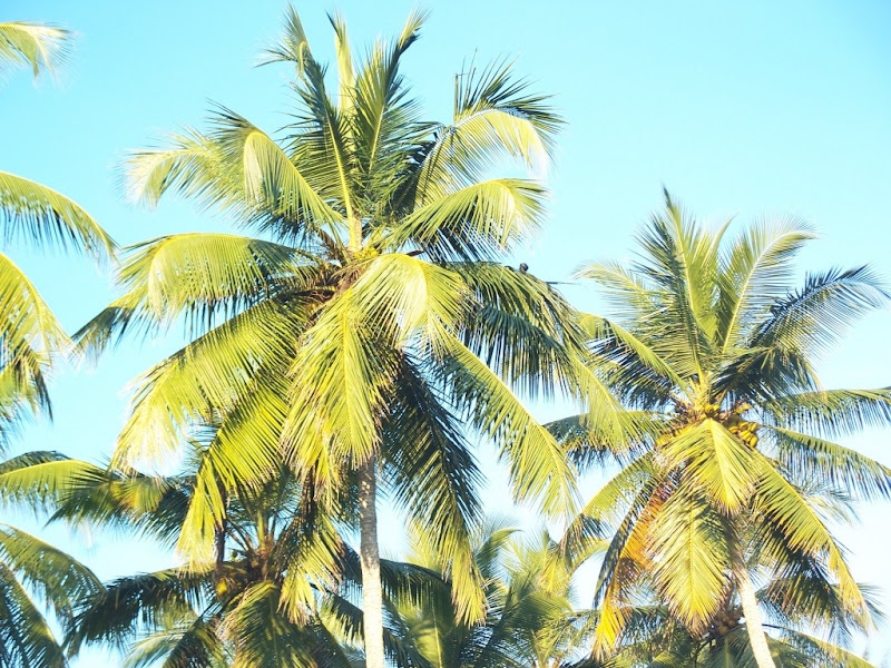 20100114071417.jpg