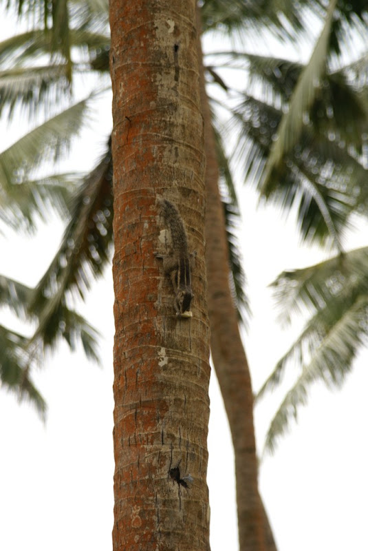 20100117140153.jpg