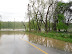 flood thumb