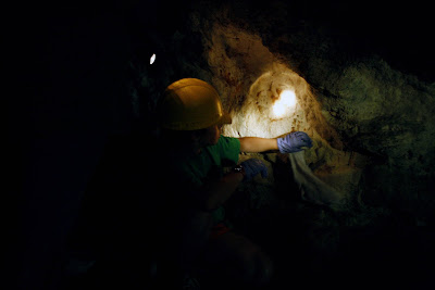 Cave Cleanup