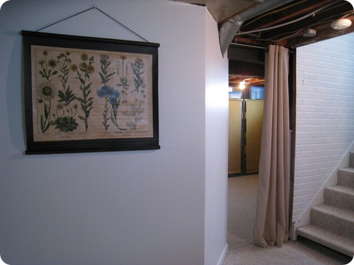IMG_2823 IMG_2823