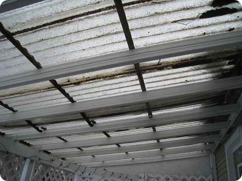 IMG_4773 IMG_4773