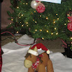Holiday Workshop Gary camera (20).JPG