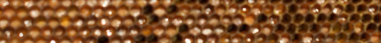 Bee Bread