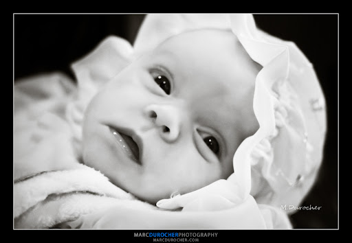 DSC_1942-1-1