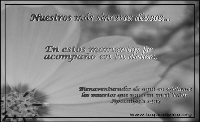 [2008416225190_NUESTROS MAS SINCERO DESEO-YA[2].jpg]