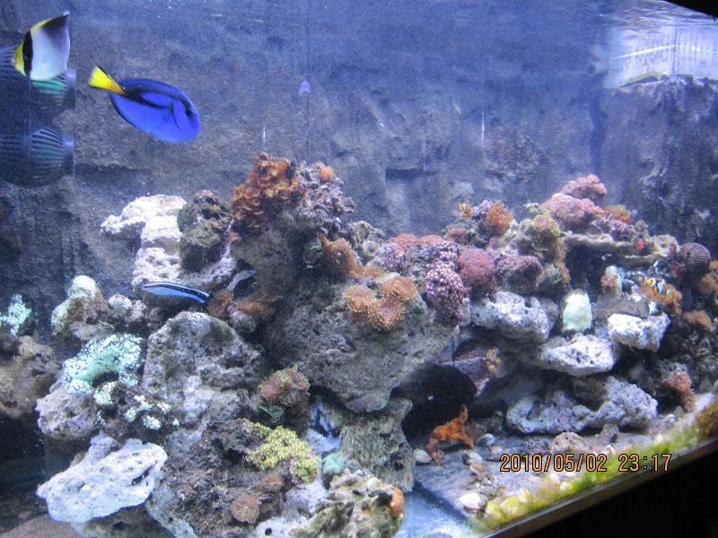 IMG_0002.JPG
