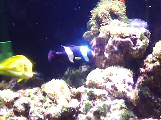 IMG0033A.jpg